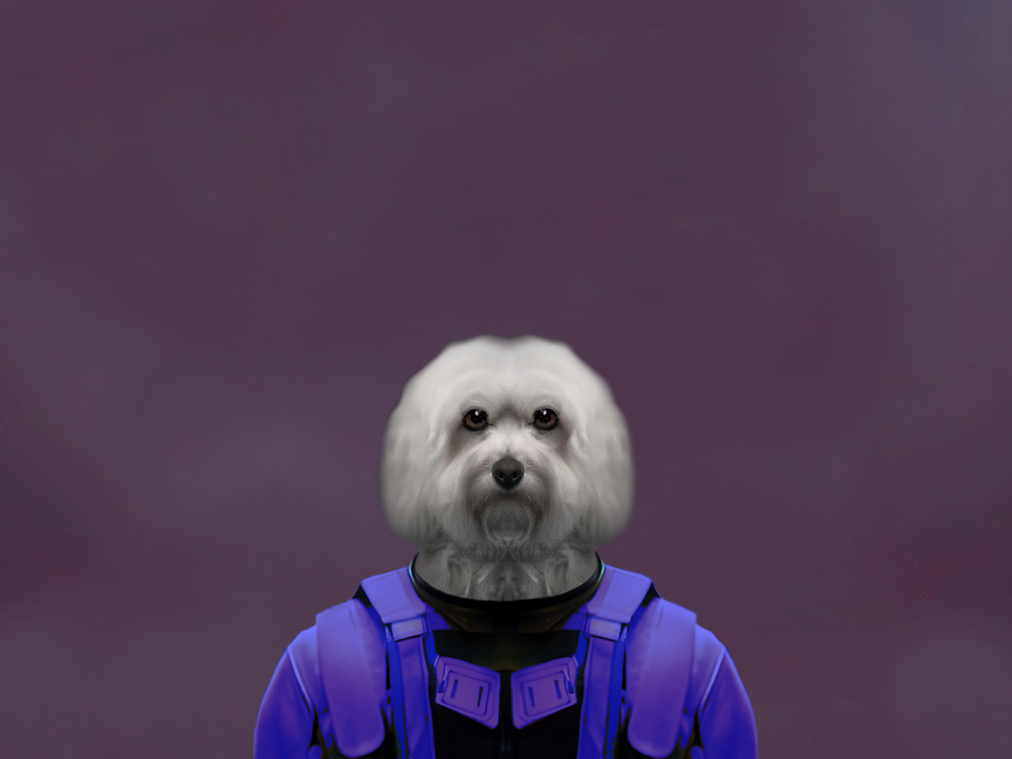 HoatzinPilotLily