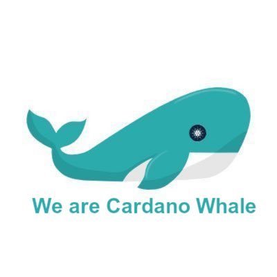 We are Cardano Whale #1582