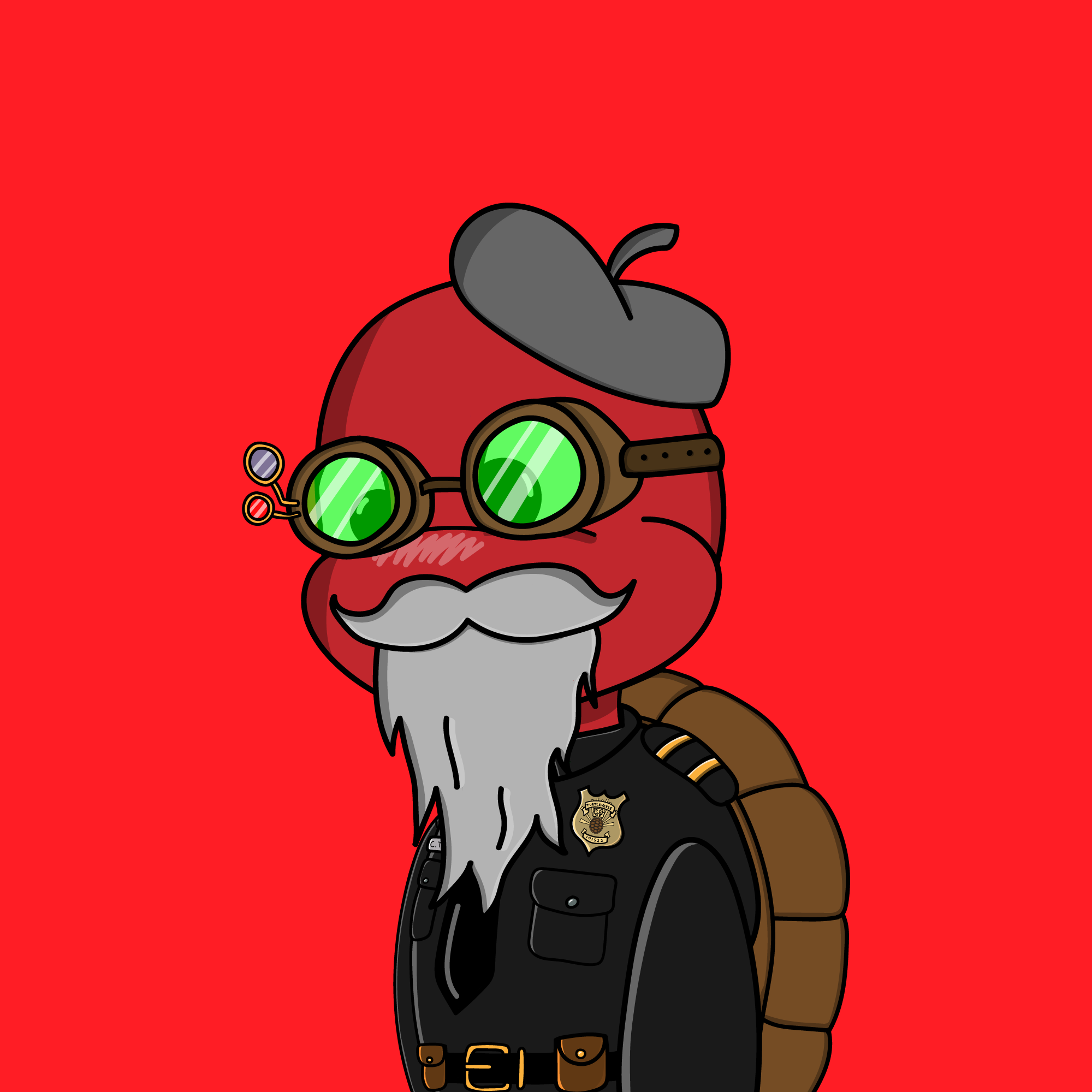 Turtle 1407